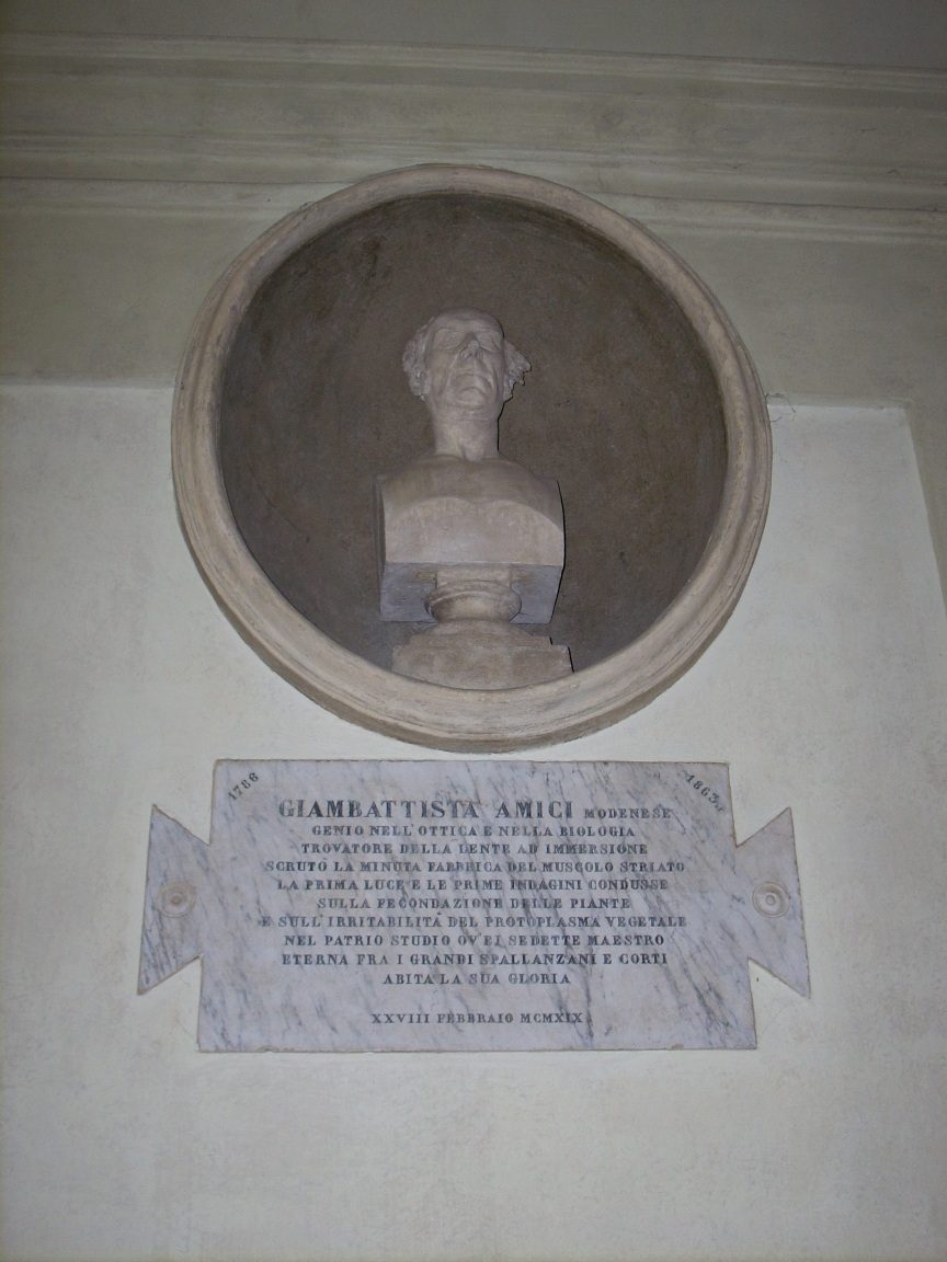 Giovan Battista Amici Bust, University, Modena - 2.JPG